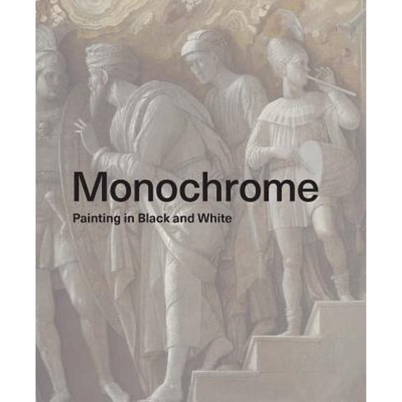 Pre-Owned Monochrome : Painting in Black and White 9781857096149 Used