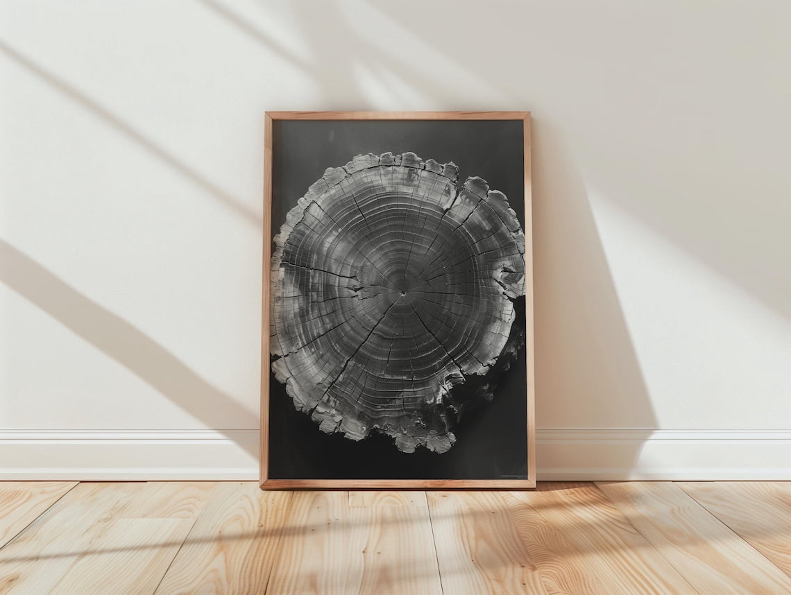 Monochrome Tree Rings Rustic Wood Texture Nature Decor, Stretched ...