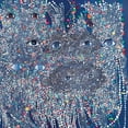 thumbnail image 1 of Monocot - Direction We Know - Music & Performance - Vinyl, 1 of 1