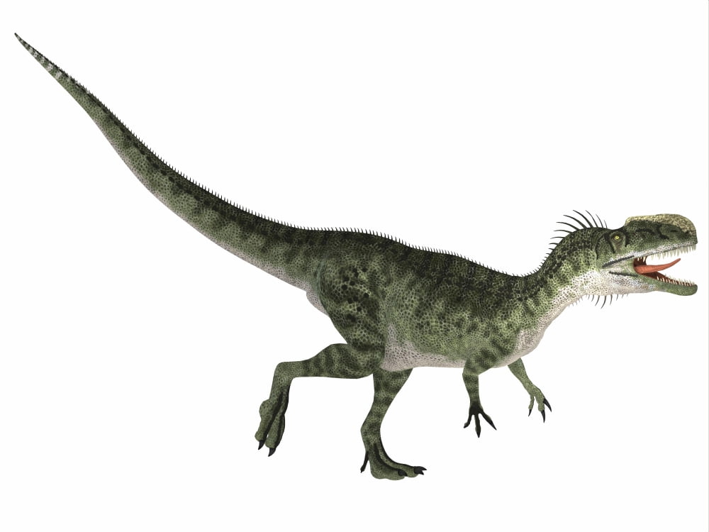 Monolophosaurus dinosaur Canvas Art - Corey FordStocktrek Images (17 x 13)