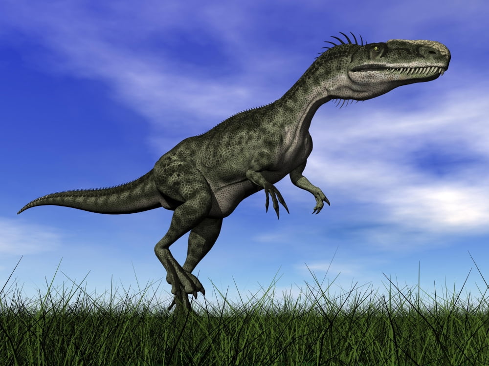 Monolophosaurus dinosaur walking in the grass Canvas Art - Elena DuvernayStocktrek Images (17 x 13)