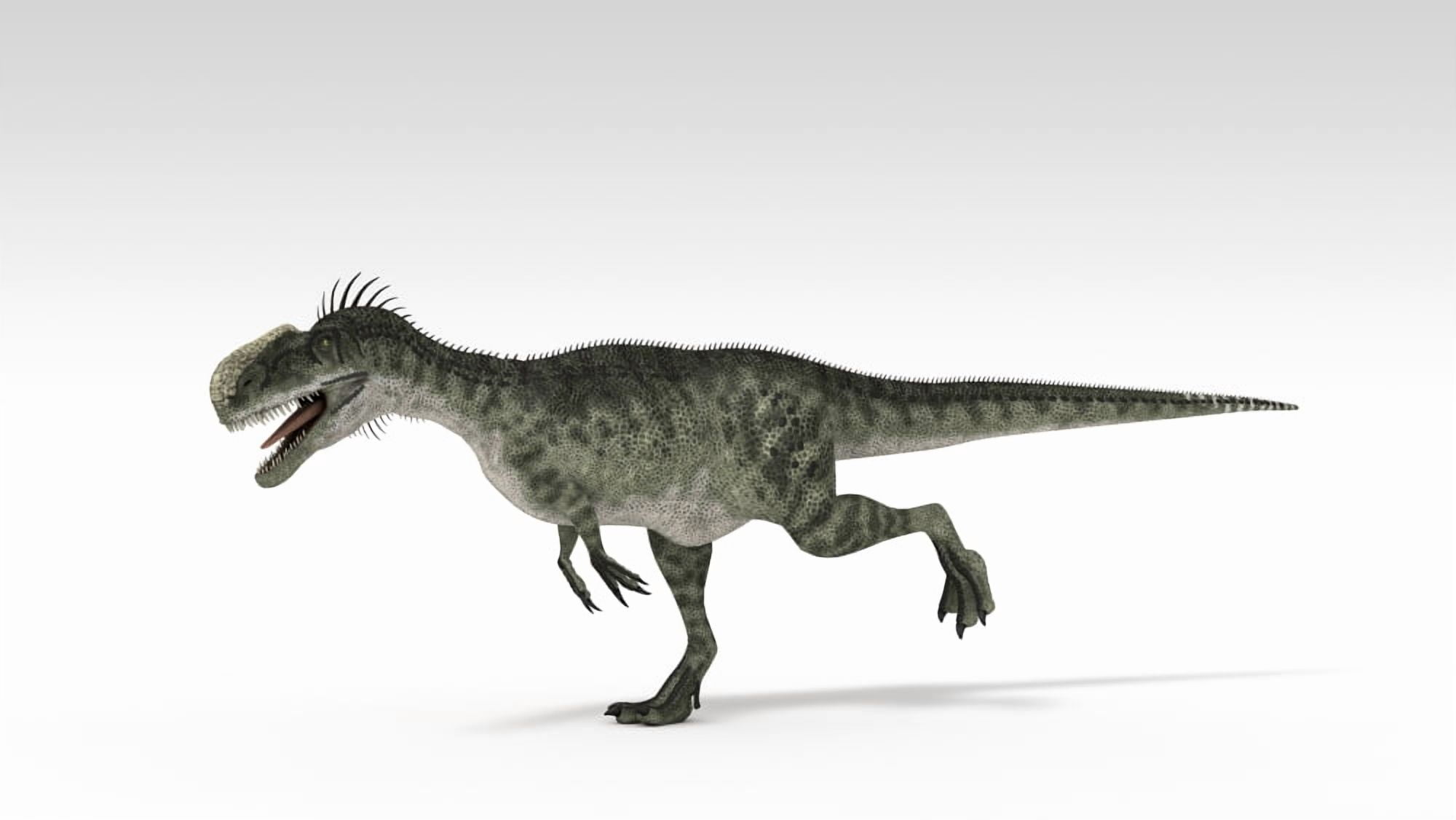 Monolophosaurus dinosaur white background Canvas Art - Kostyantyn IvanyshenStocktrek Images (19 x 11)