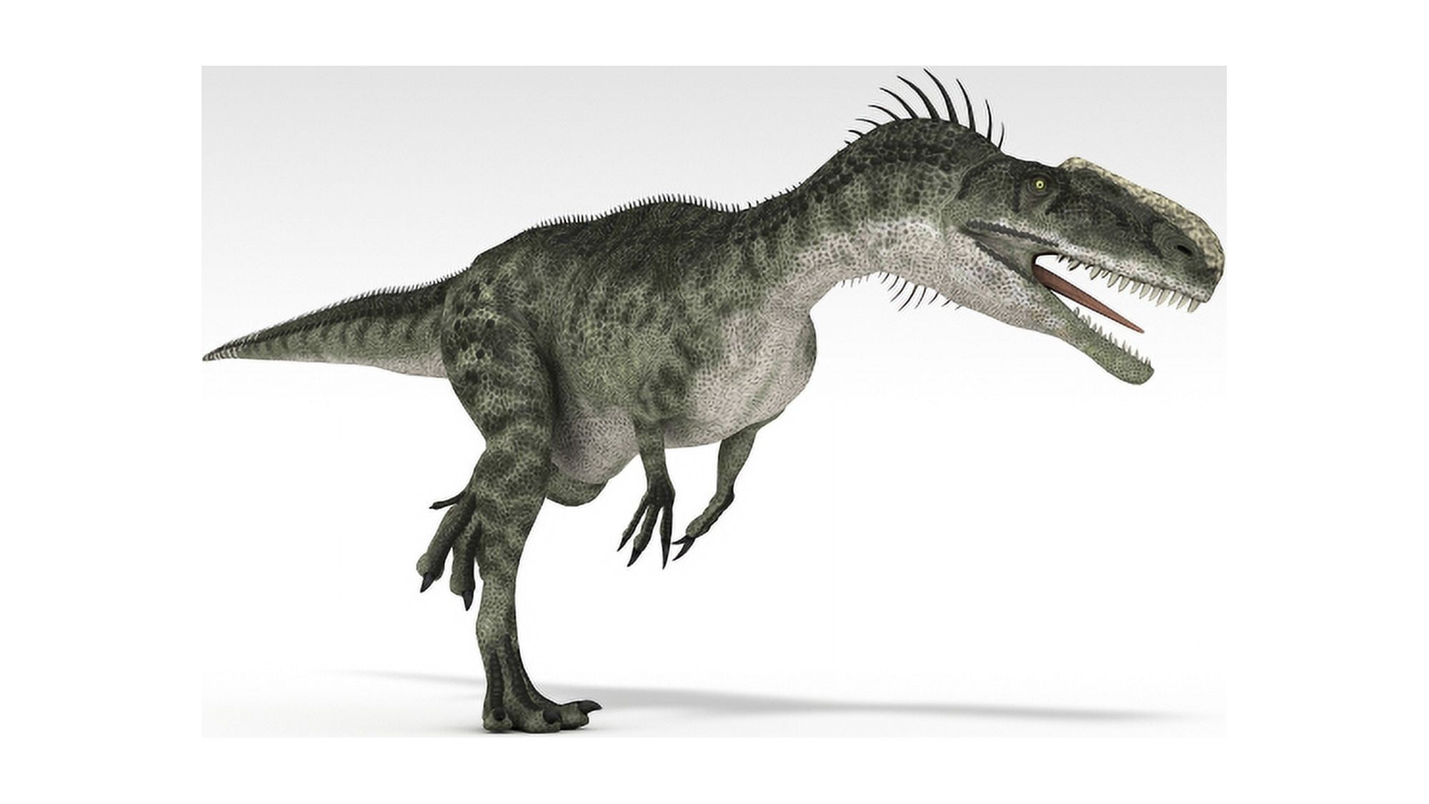 Monolophosaurus dinosaur white background Canvas Art - Kostyantyn IvanyshenStocktrek Images (19 x 11)