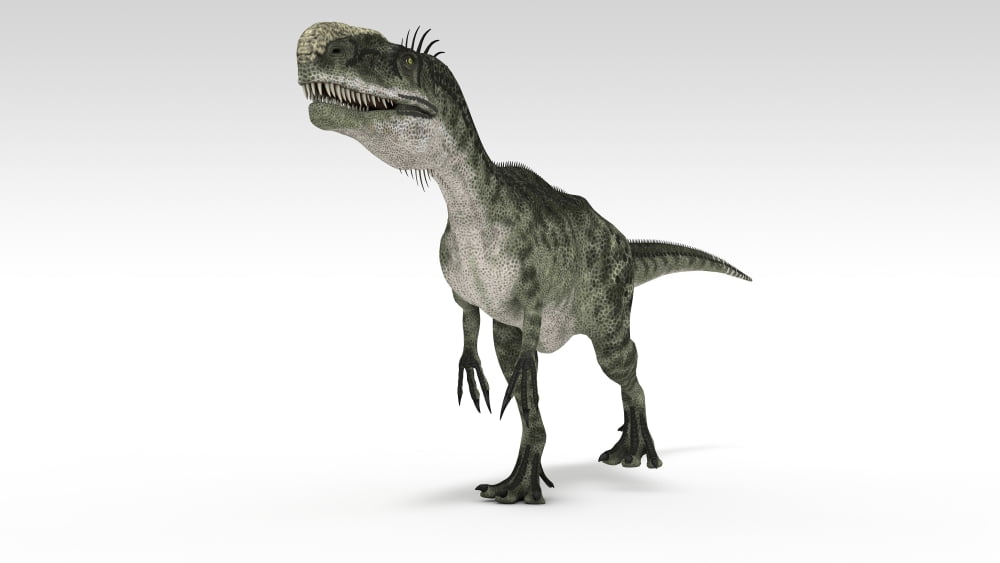 Monolophosaurus dinosaur white background Canvas Art - Kostyantyn IvanyshenStocktrek Images (38 x 22)