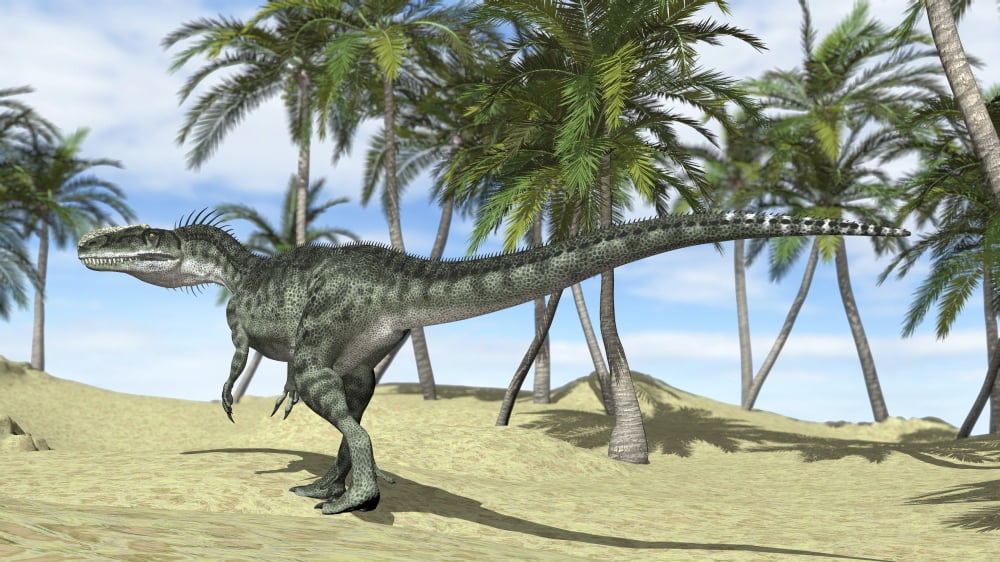 Monolophosaurus in a prehistoric environment with palm trees Canvas Art - Kostyantyn IvanyshenStocktrek Images (38 x 22)