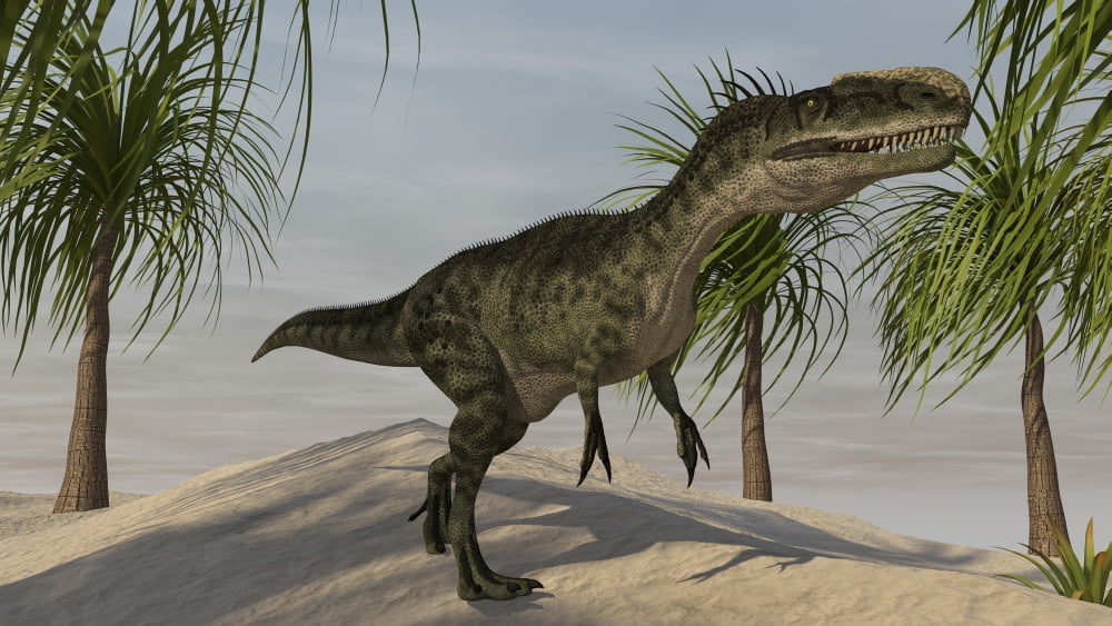 Monolophosaurus in a tropical environment Canvas Art - Kostyantyn IvanyshenStocktrek Images (19 x 11)