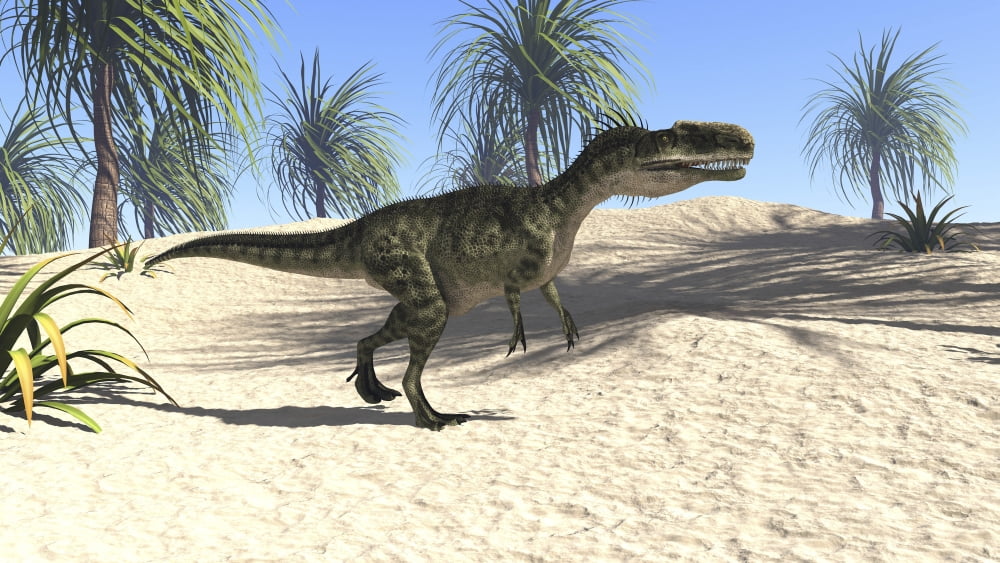 Monolophosaurus in a tropical environment Canvas Art - Kostyantyn IvanyshenStocktrek Images (19 x 11)