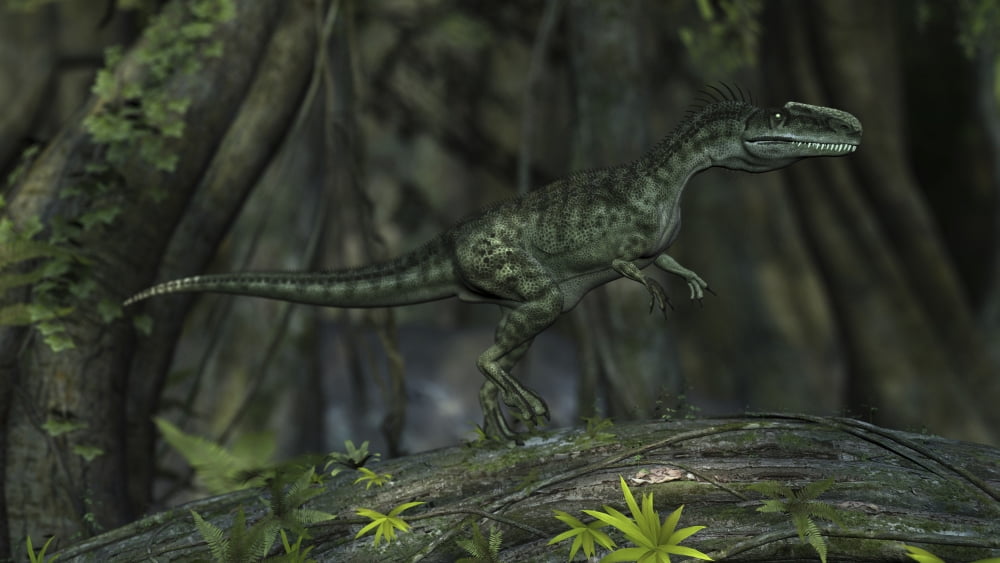 Monolophosaurus in prehistoric woodlands Canvas Art - Kostyantyn IvanyshenStocktrek Images (19 x 11)