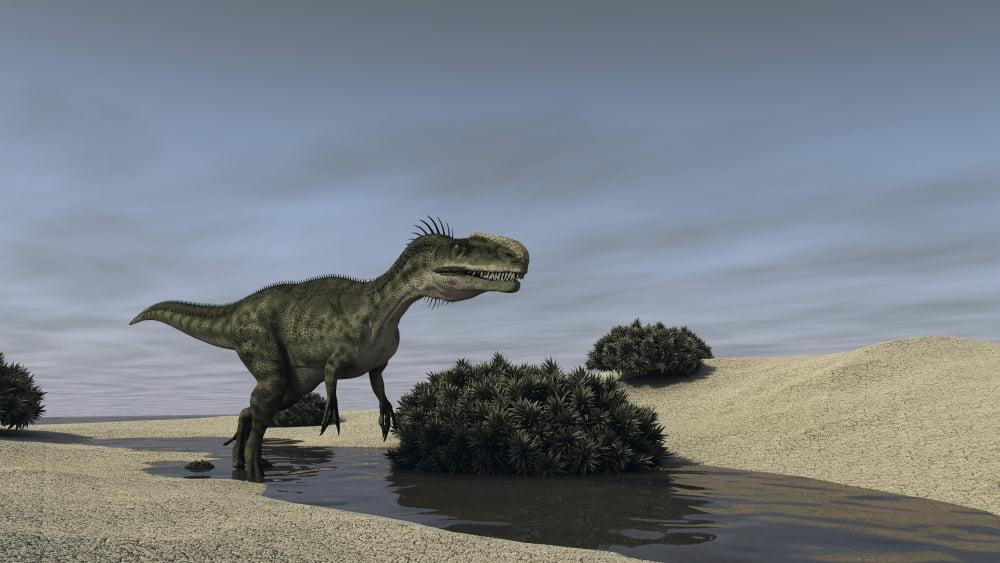 Monolophosaurus running through a stream Canvas Art - Kostyantyn IvanyshenStocktrek Images (38 x 22)