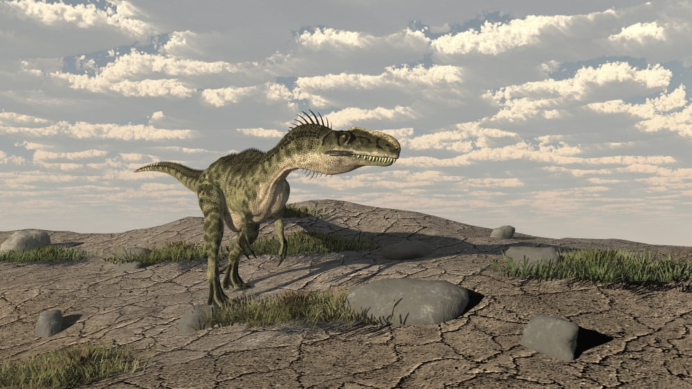 Monolophosaurus walking across an open desert Canvas Art - Kostyantyn IvanyshenStocktrek Images (19 x 11)