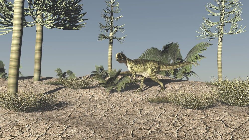 Monolophosaurus walking across an open desert Canvas Art - Kostyantyn IvanyshenStocktrek Images (19 x 11)