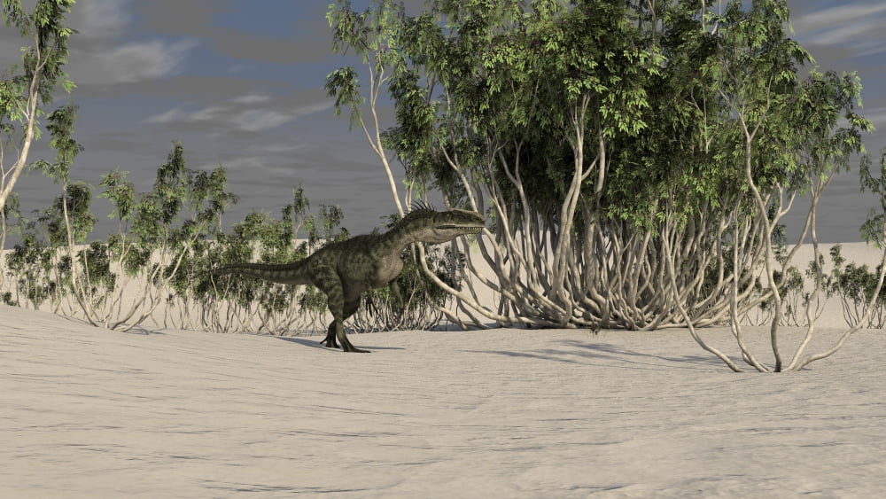 Monolophosaurus walking across an open desert Canvas Art - Kostyantyn IvanyshenStocktrek Images (19 x 11)