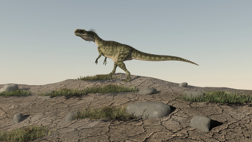 Monolophosaurus walking across an open desert Canvas Art - Kostyantyn IvanyshenStocktrek Images (38 x 22)