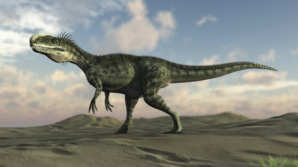 Monolophosaurus walking across desert terrain Canvas Art - Kostyantyn IvanyshenStocktrek Images (38 x 22)