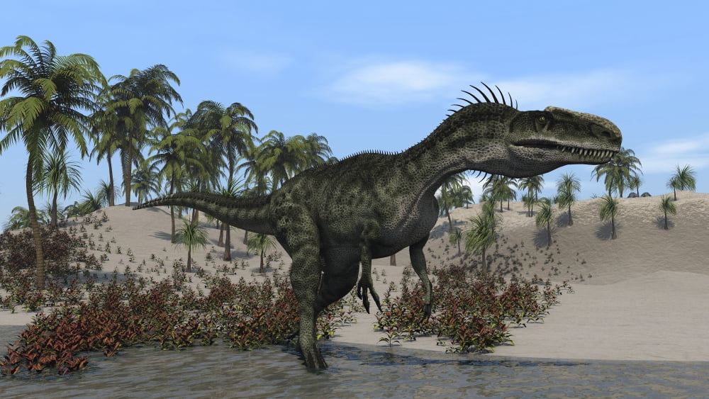 Monolophosaurus walking along shallow water Canvas Art - Kostyantyn IvanyshenStocktrek Images (19 x 11)