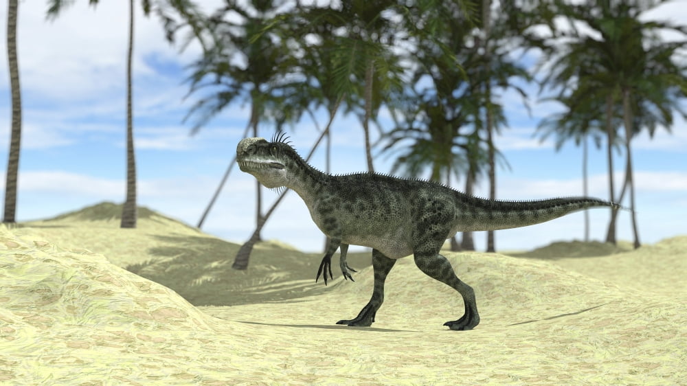 Monolophosaurus walking in a tropical environment Canvas Art - Kostyantyn IvanyshenStocktrek Images (19 x 11)