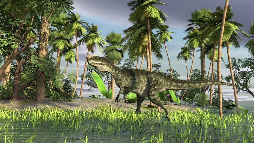 Monolophosaurus walking through shallow water Canvas Art - Kostyantyn IvanyshenStocktrek Images (19 x 11)