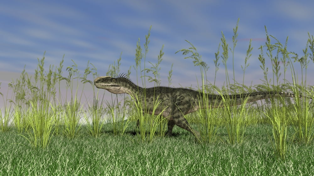 Monolophosaurus walking through tall grass Canvas Art - Kostyantyn IvanyshenStocktrek Images (19 x 11)