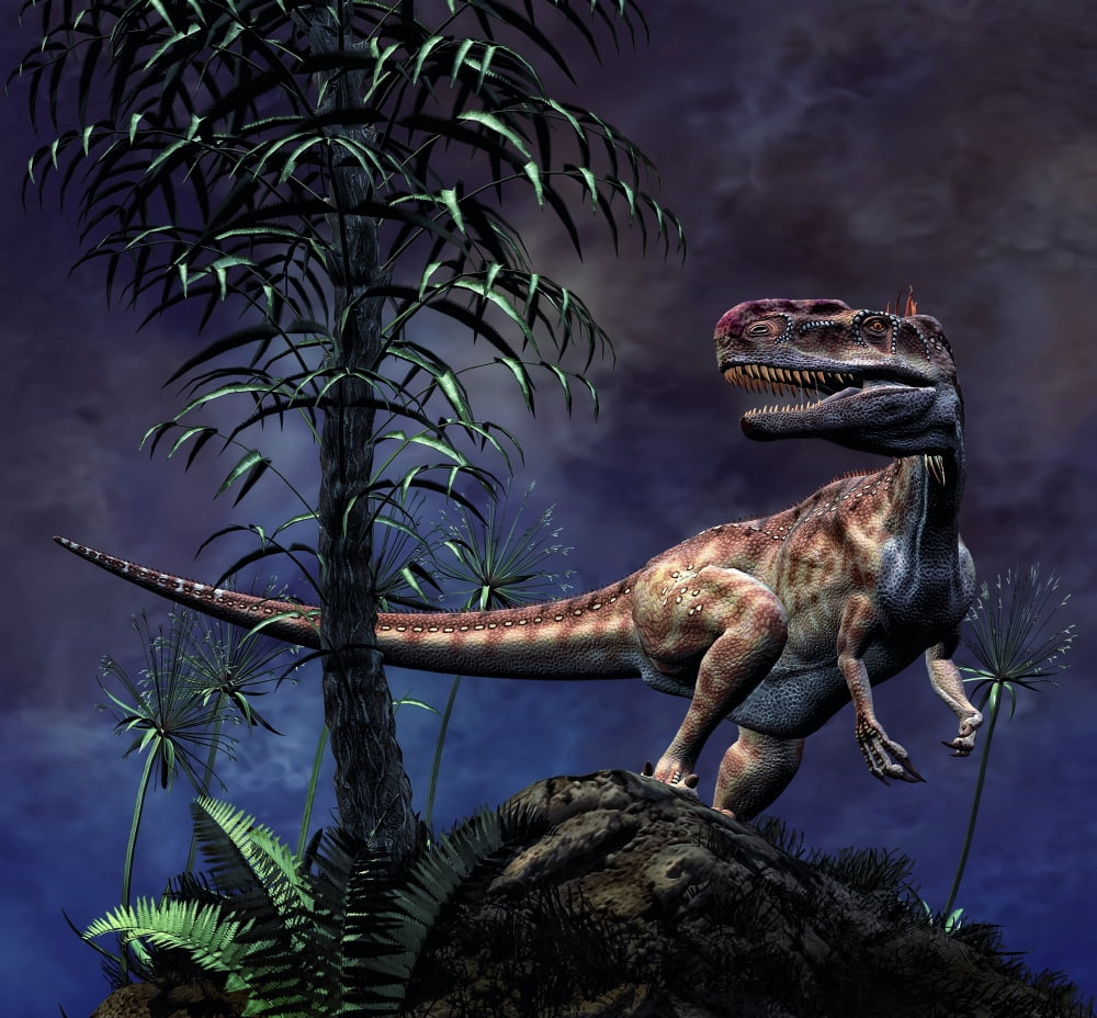 Monolophosaurus was a theropod dinosaur from the Middle Jurassic period Canvas Art - Philip BrownlowStocktrek Images (29 x 27)