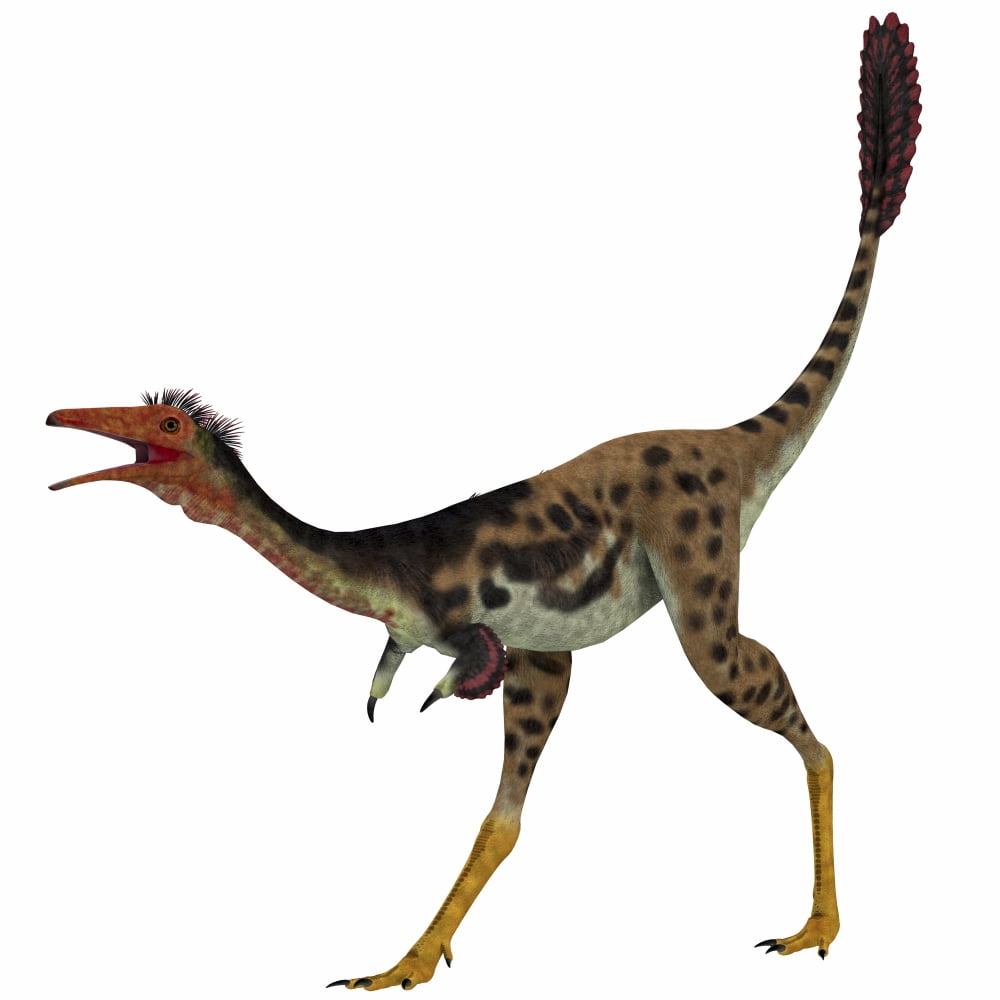 Mononykus a theropod dinosaur from the late Cretaceous Canvas Art - Corey FordStocktrek Images (29 x 29)