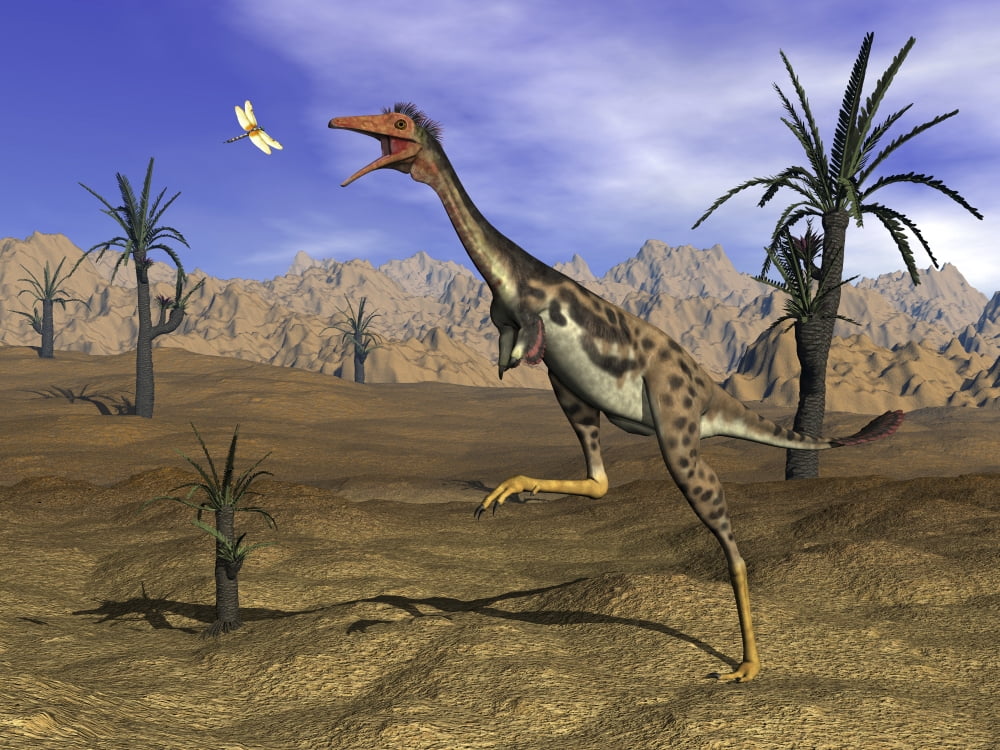 Mononykus dinosaur chasing a dragonfly in the desert Canvas Art - Elena DuvernayStocktrek Images (17 x 13)