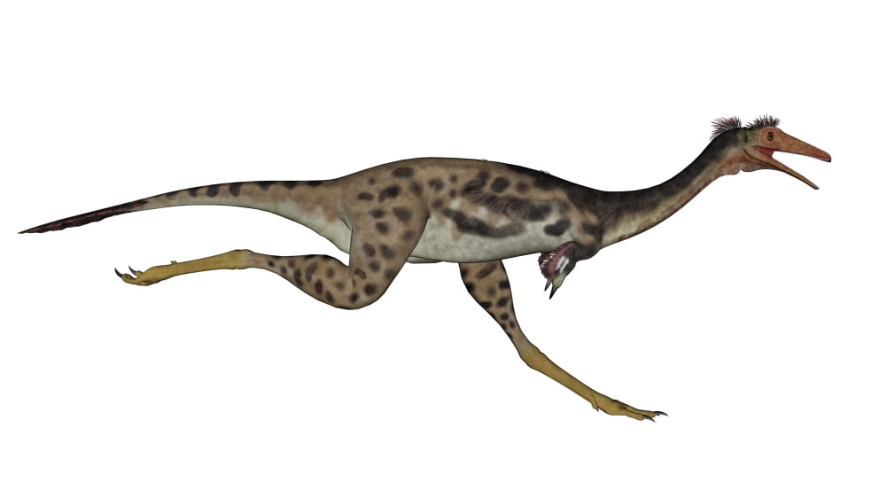 Mononykus dinosaur running Canvas Art - Elena DuvernayStocktrek Images (19 x 11)