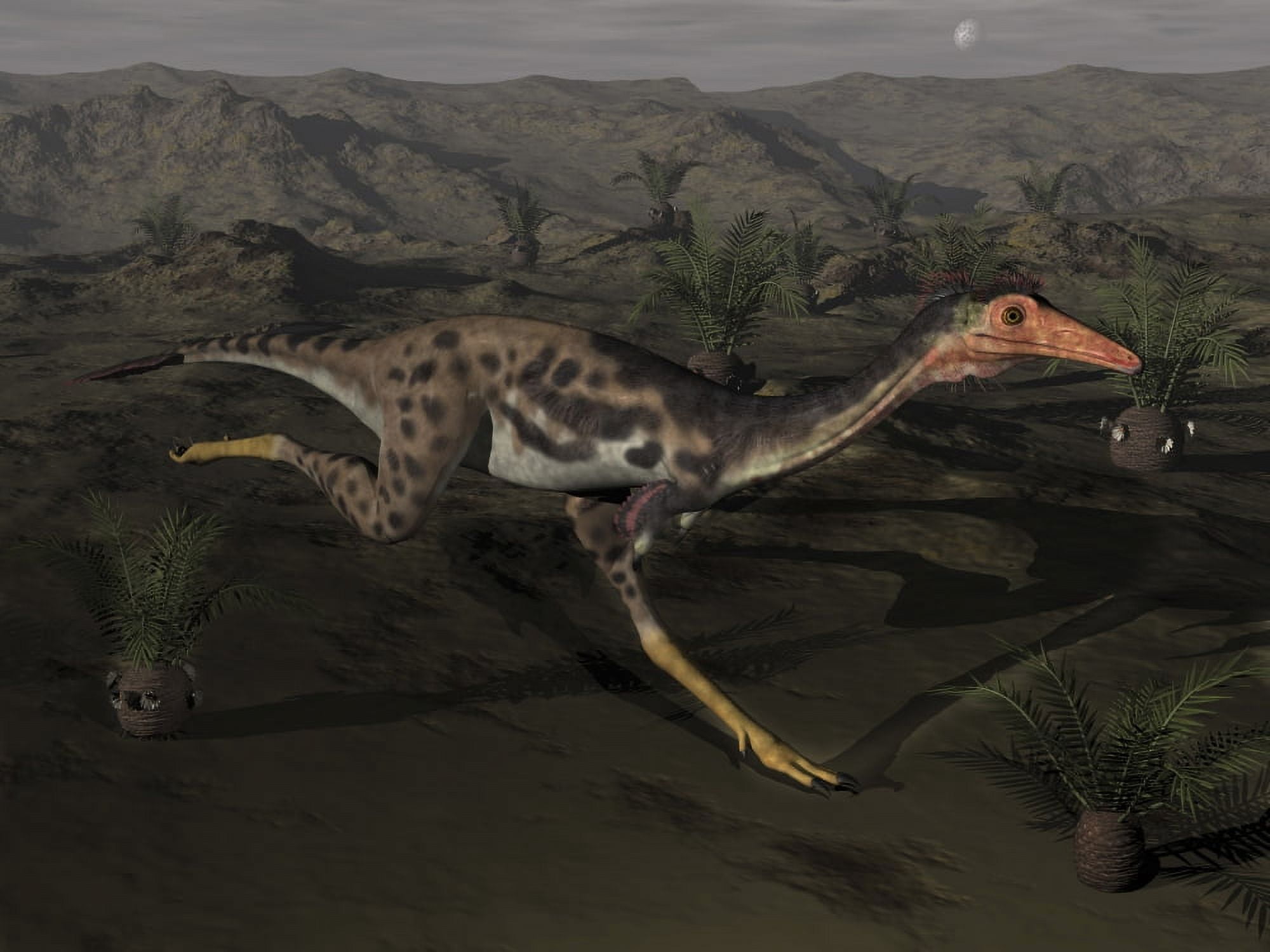 Mononykus dinosaur running at night Canvas Art - Elena DuvernayStocktrek Images (17 x 13)