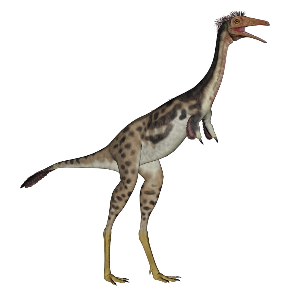 Mononykus dinosaur standing Canvas Art - Elena DuvernayStocktrek Images (29 x 29)