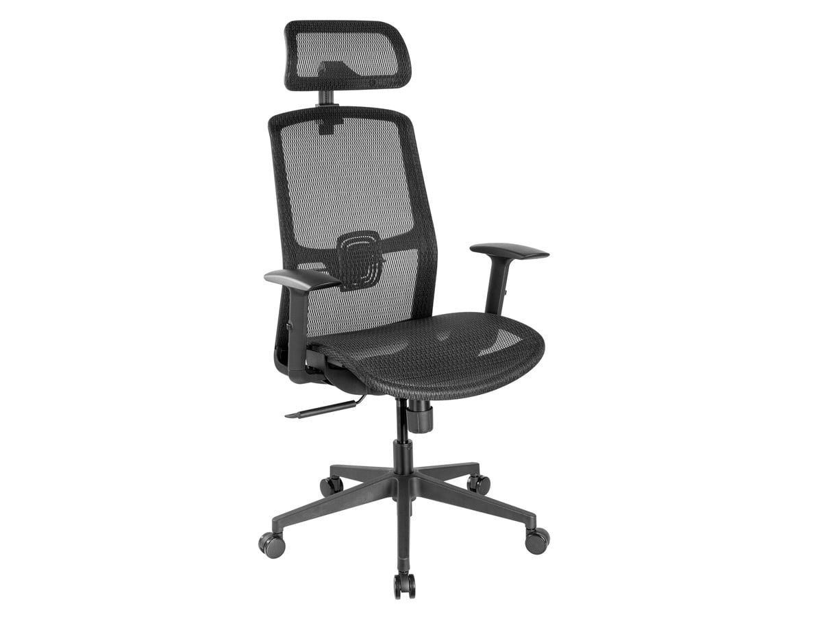 Black Mesh Ergonomic Office Chair with Adjustable Arms and Headrest