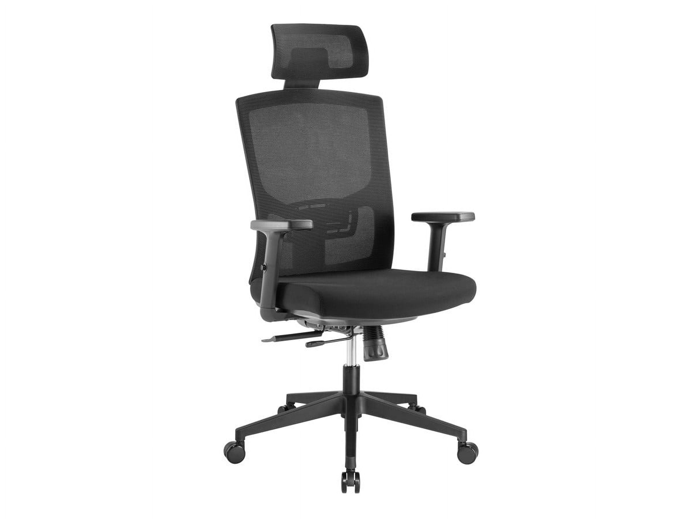 Black Mesh Ergonomic Task Chair with Adjustable Arms and Headrest