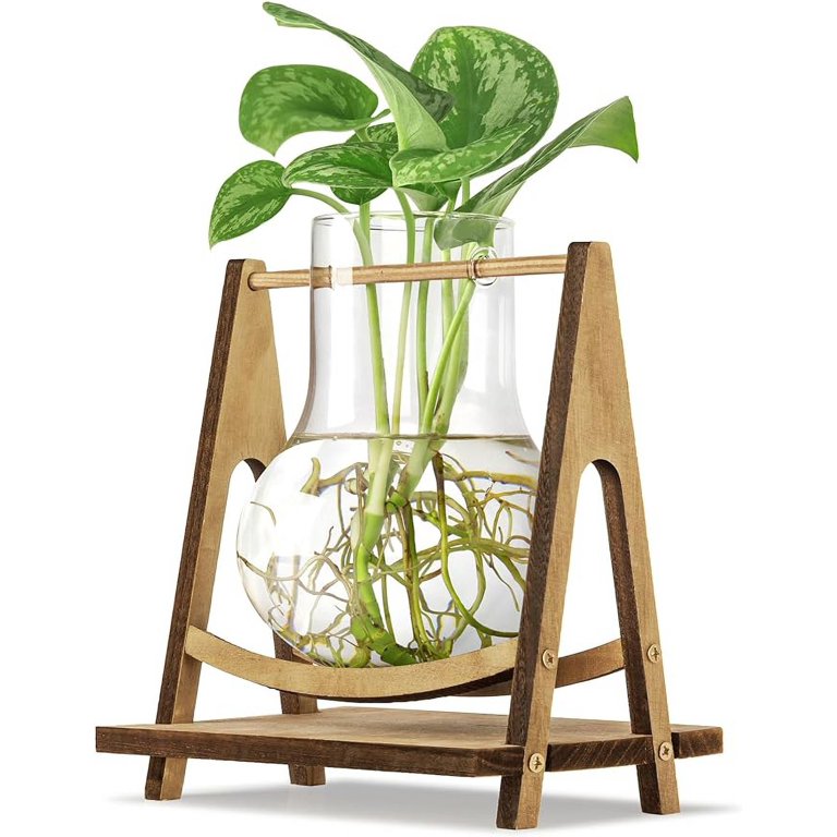 plant terrarium with wooden stand Plant Propagation Station