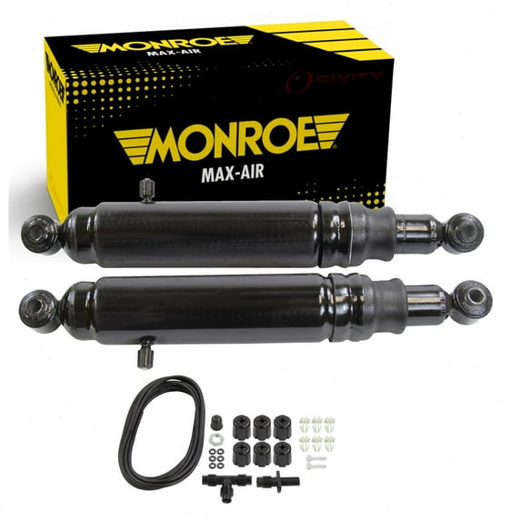 Rear Shock Absorber compatible with Ford F-150 2009-2014