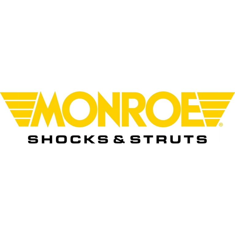 Monroe Shocks & Struts Strut and Coil Spring Assembly 173074 Fits