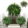 thumbnail image 1 of Mowaven Artificial Ferns - Mowaven Ferns, Mowaven Artificial Boston Ferns, Growhabity Ferns, UV Resistant Lifelike Artificial Fern, UV Resistant Artificial Outdoor Plants (1, 38Leaves), 1 of 6