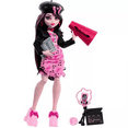 thumbnail image 1 of Monster High Fearbook Draculaura Doll, 1 of 4