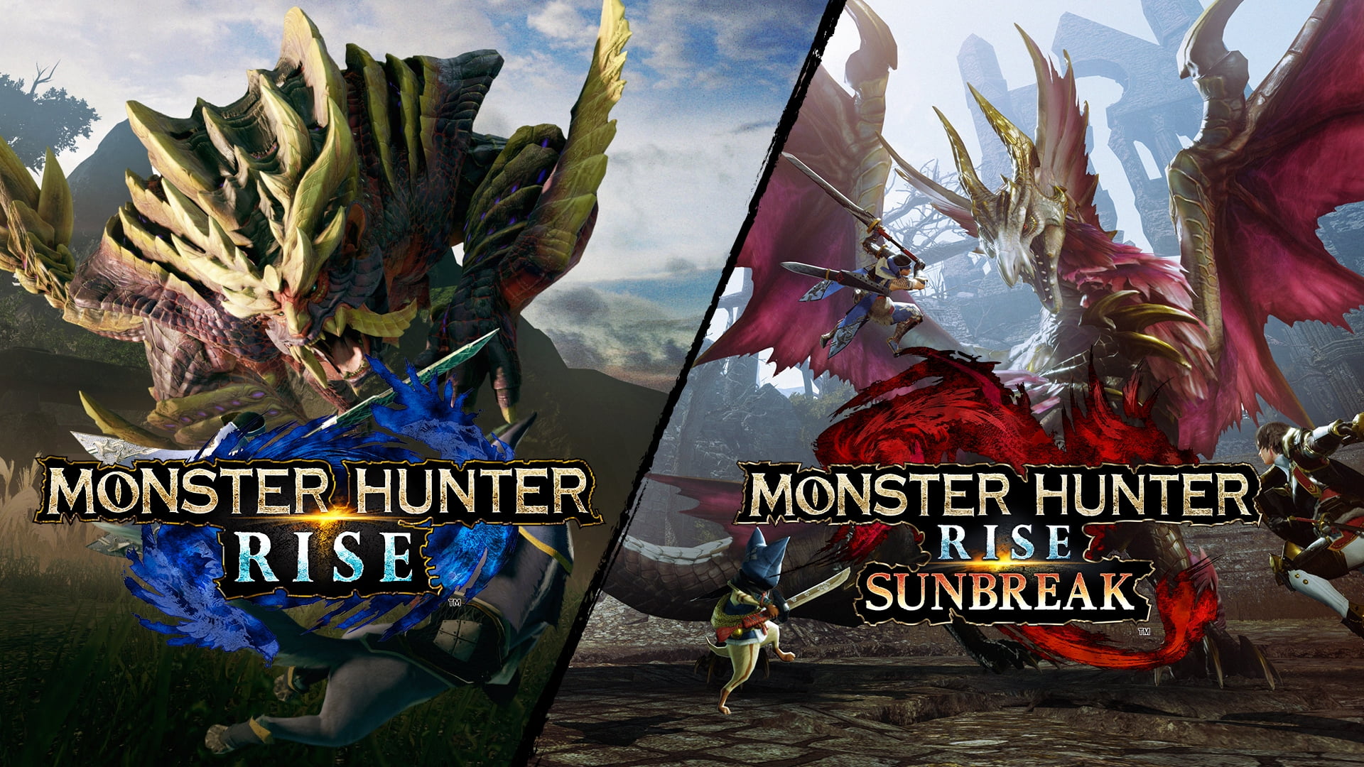 Monster Hunter Rise + Sunbreak - Nintendo Switch Digital - Walmart.com