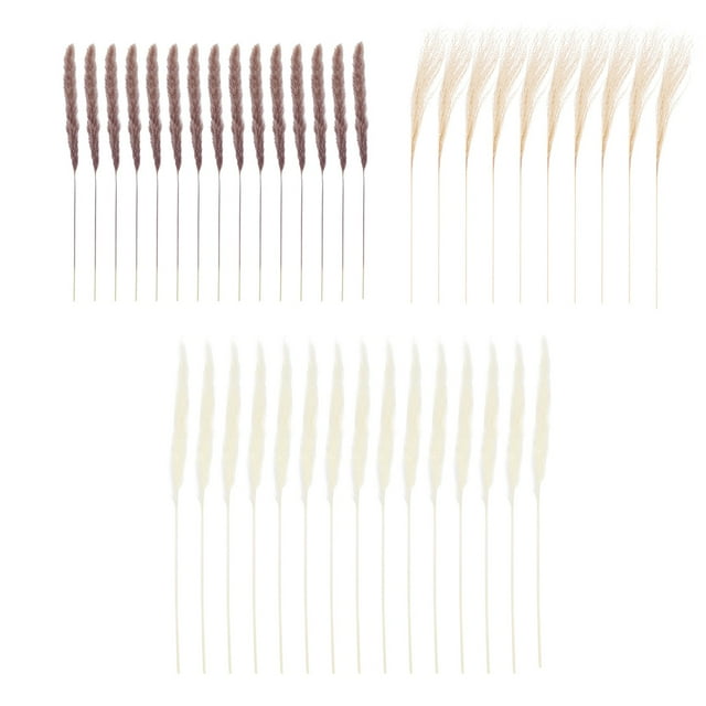 Monstera Deliciosa 2 Bundles Shrubs Tropical Leaves Greenery Leaf For