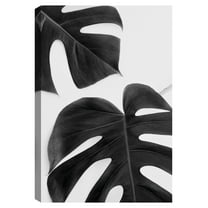 Monstera Duet Noir by Irene Suchocki Canvas Art Print