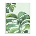 thumbnail image 1 of Stupell Industries Monstera Leaf Tropics White Framed Giclee Art, design by Camila Juncos, 14 x 11, 1 of 8