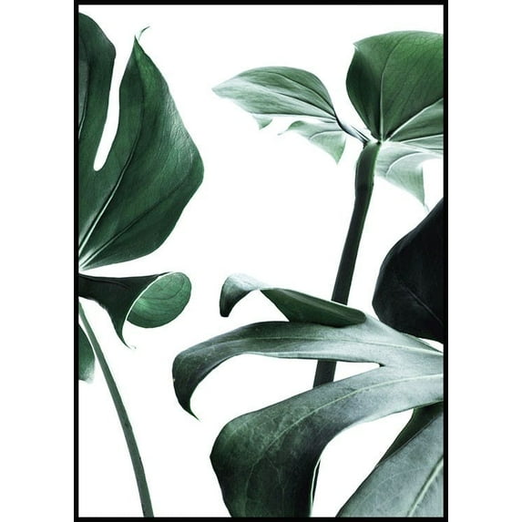 Monstera No. 1 Poster Wall Art, Modern Wall Decor For Living Room Bedroom, 8x12 UNFRAMED