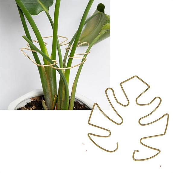 Vuyungers Monstera plant support stakes with turtle shell bamboo clamps for stable plant growth