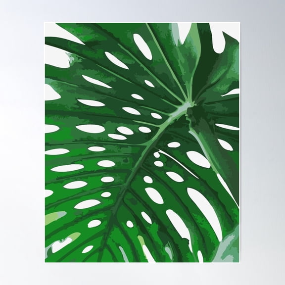 Monstera Poster, 12x18 UNFRAMED