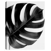 Monstera Solo Noir by Irene Suchocki Canvas Art Print