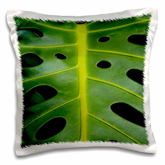 3dRose, Monstera deliciosa, Iao in Hawaii, USA., 16x16 inch Pillow Case