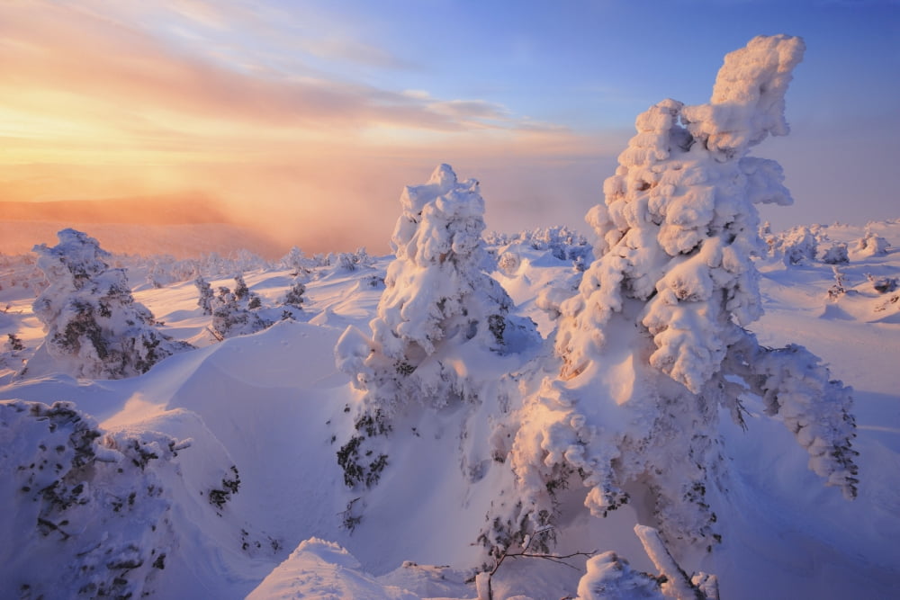 Mont Logan At Sunrise Gaspesie National Park Quebec Canvas Art - Yves Marcoux Design Pics (17 x 11)