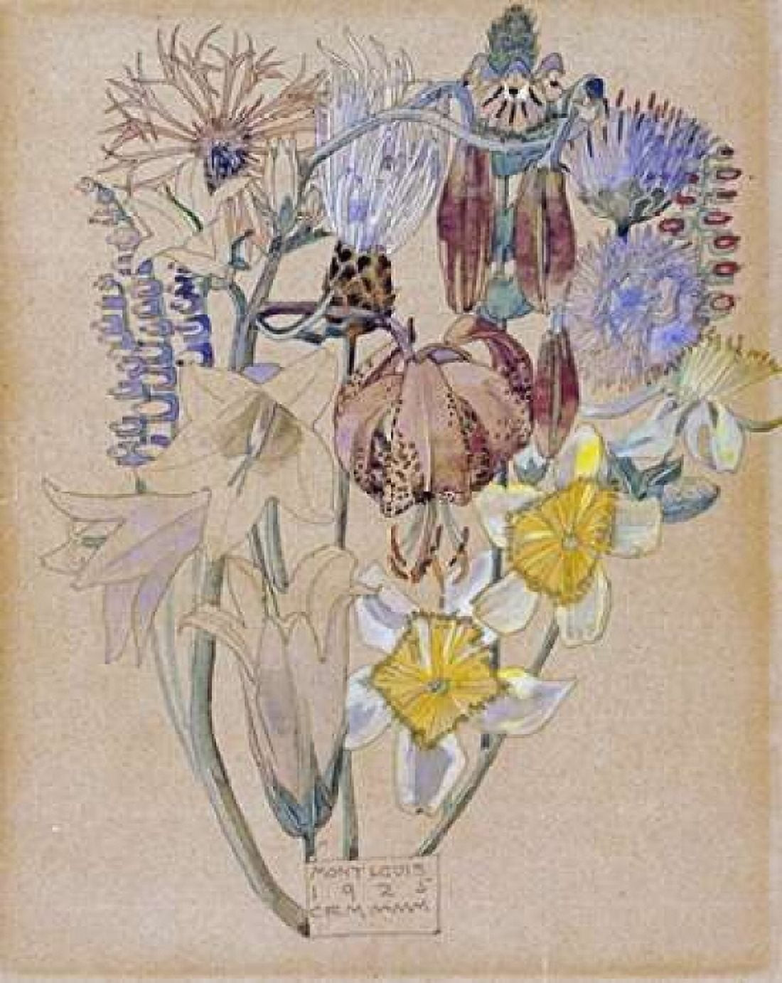 Mont Louis - Flower Study Canvas Art - Charles Rennie Mackintosh (24 x 30)