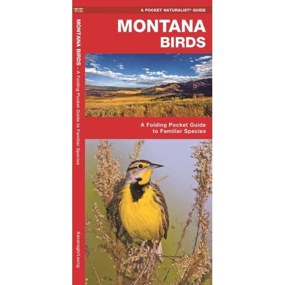 Pre-Owned Montana Birds: A Folding Pocket Guide to Familiar Species (Paperback) by James Kavanagh