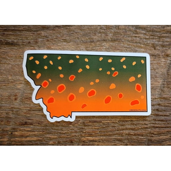 Montana Bull Trout Skin Sticker Decal