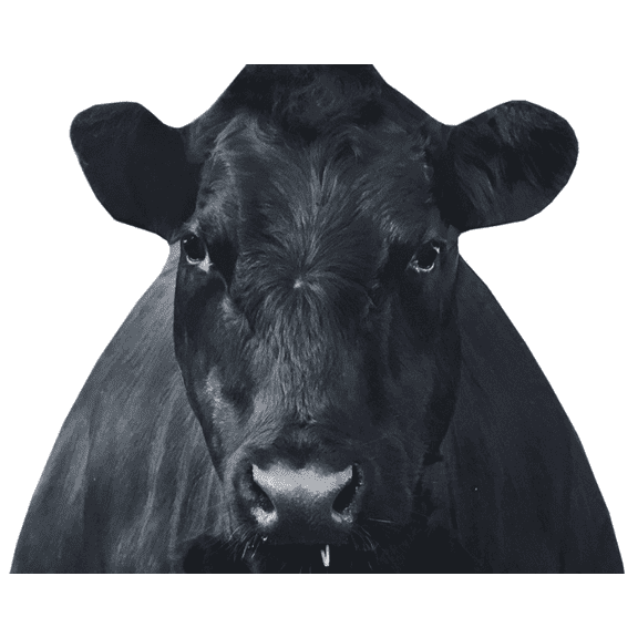 Montana Decoy Bessie Moo Cow