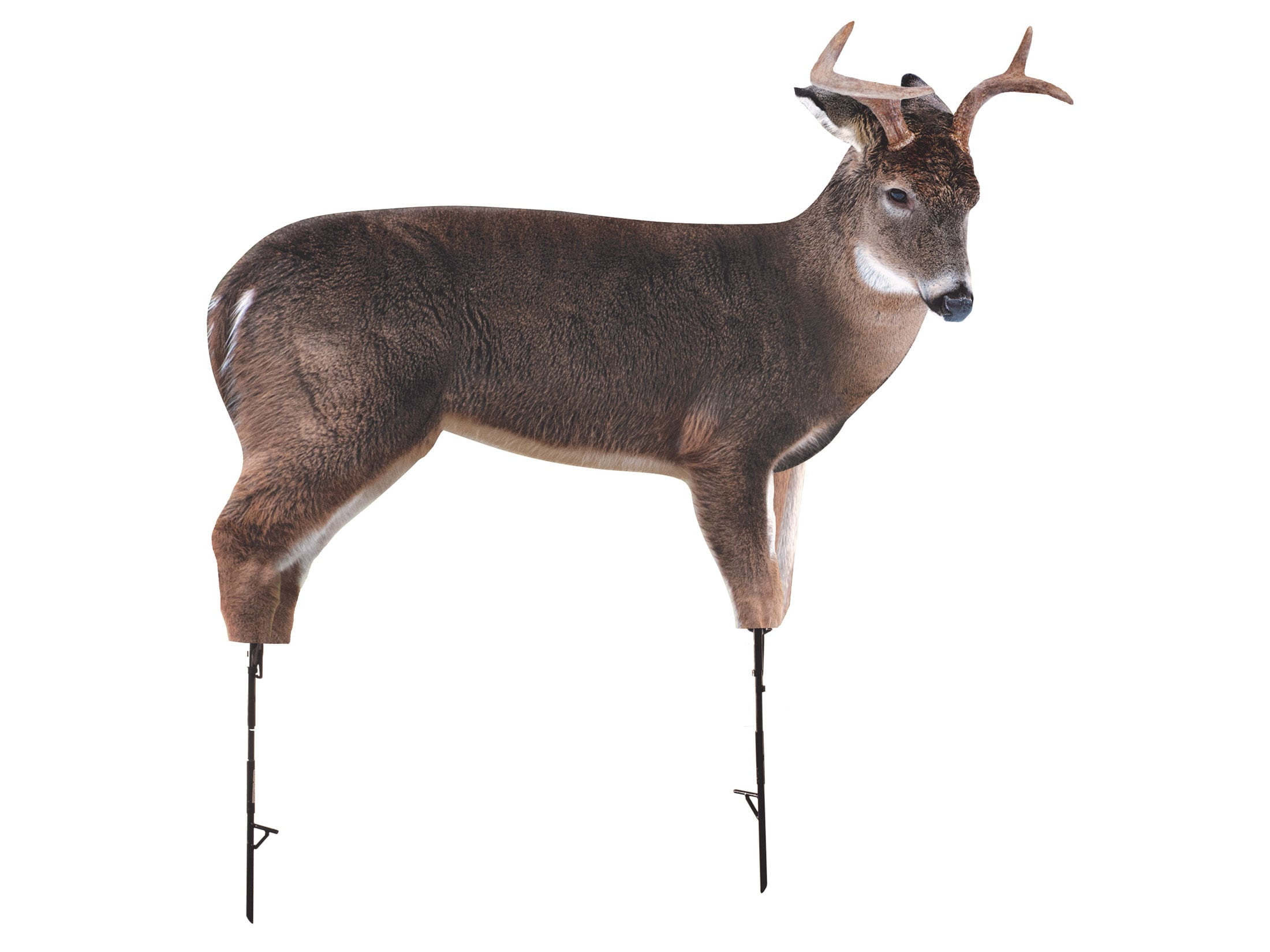 Montana Decoy The Freshman Deer Decoy